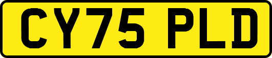 CY75PLD