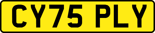 CY75PLY