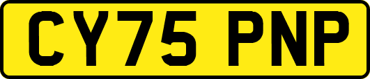 CY75PNP