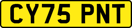 CY75PNT