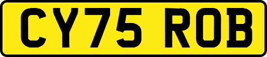 CY75ROB