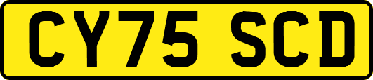 CY75SCD