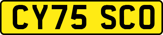 CY75SCO
