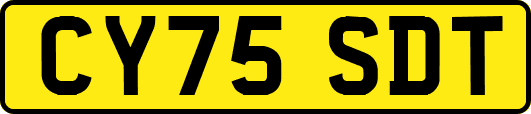 CY75SDT
