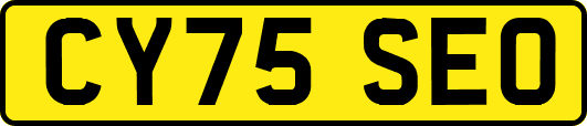 CY75SEO