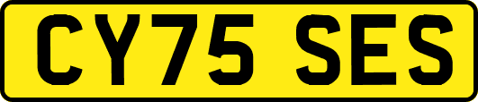 CY75SES