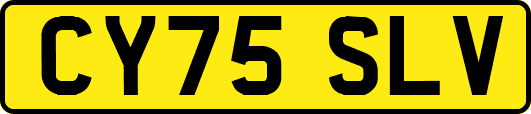 CY75SLV