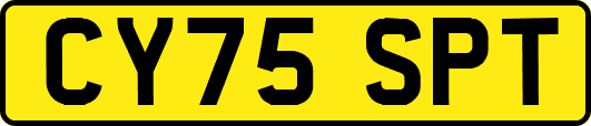 CY75SPT