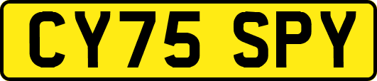 CY75SPY