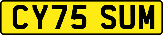 CY75SUM