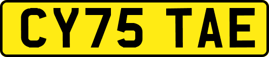 CY75TAE