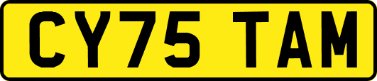 CY75TAM