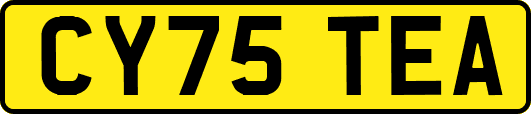 CY75TEA