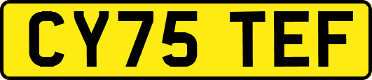 CY75TEF