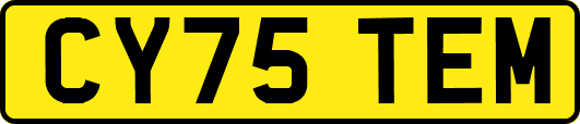 CY75TEM