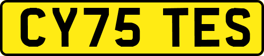 CY75TES