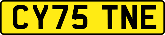CY75TNE