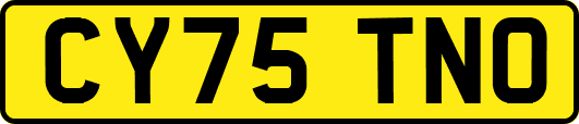 CY75TNO