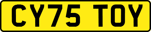 CY75TOY