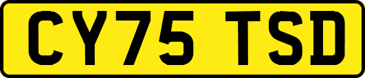CY75TSD