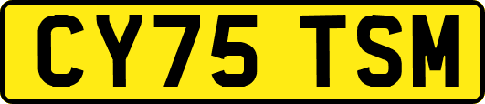 CY75TSM