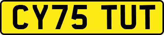 CY75TUT