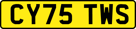 CY75TWS