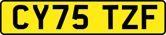 CY75TZF