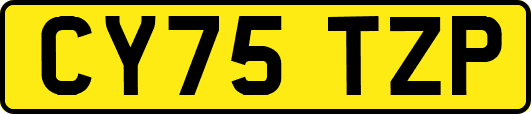 CY75TZP