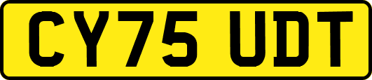 CY75UDT