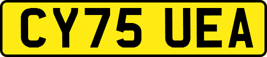 CY75UEA