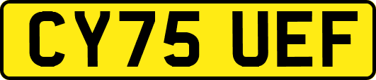 CY75UEF