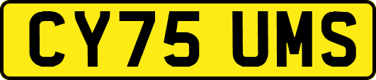 CY75UMS
