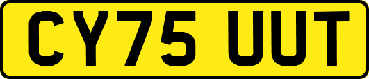 CY75UUT