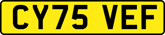 CY75VEF