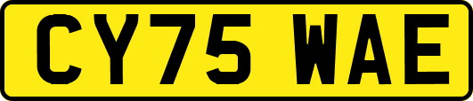 CY75WAE
