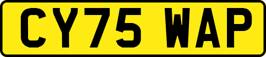 CY75WAP