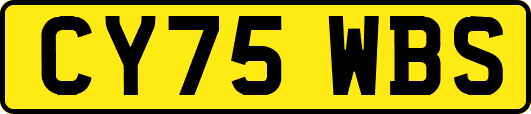 CY75WBS
