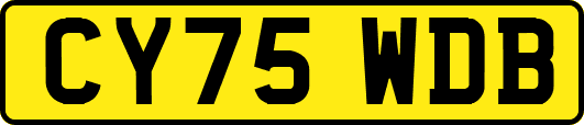 CY75WDB