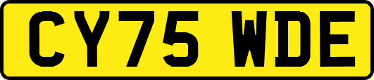 CY75WDE