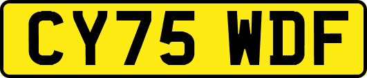 CY75WDF