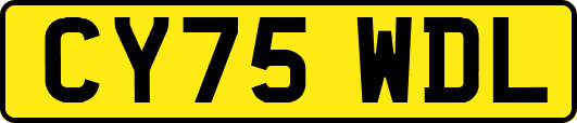 CY75WDL