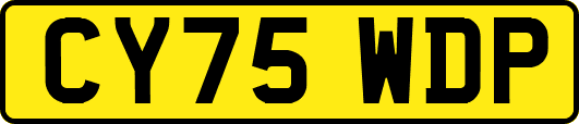CY75WDP
