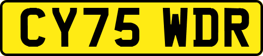 CY75WDR