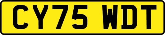 CY75WDT