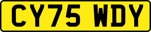 CY75WDY