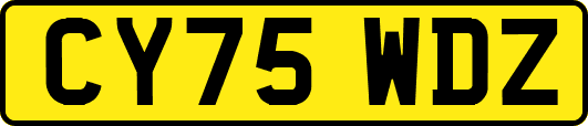 CY75WDZ