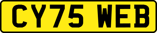 CY75WEB