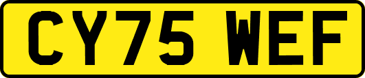 CY75WEF