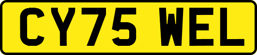 CY75WEL